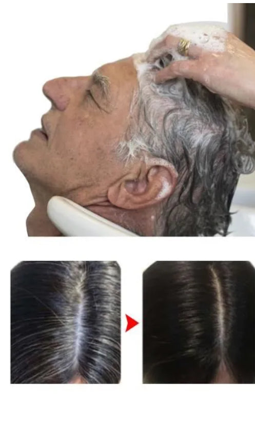 Shampooing Colorant Noir 3 en 1